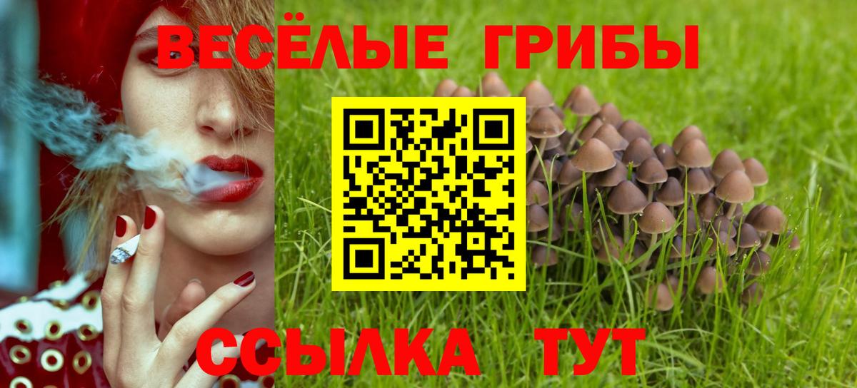Красногорск  хочу   Вход с VPN  Галлюциногенные грибы прущие грибы 